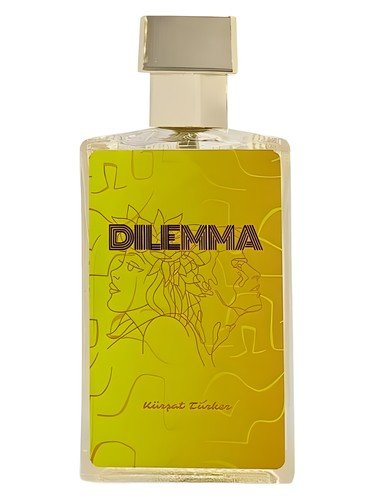 Dilemma
