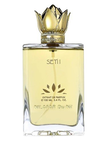 SETI I