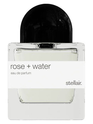 Rose + Water