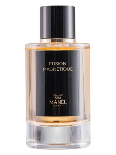 Fusion Magnétique