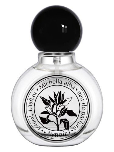 Michelia Alba 白兰