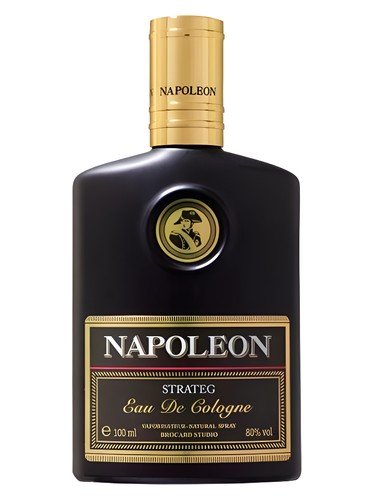 Napoleon Strateg
