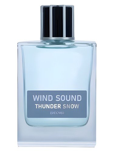 Thunder Snow