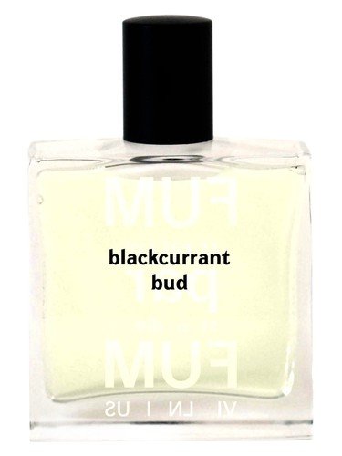 Blackcurrant Bud