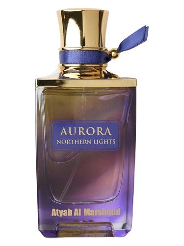 Aurora Northern Lights