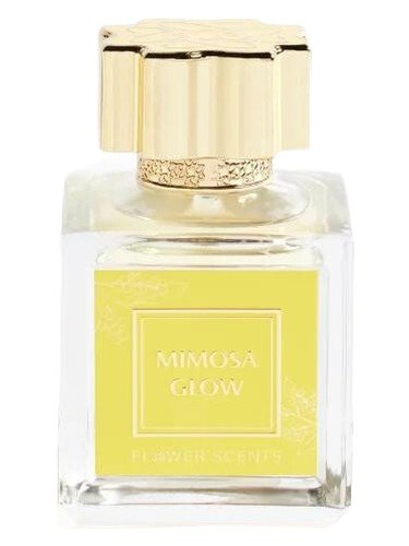 Mimosa Glow