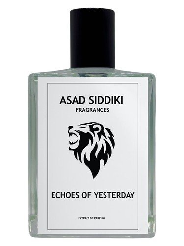 Echoes of Yesterday