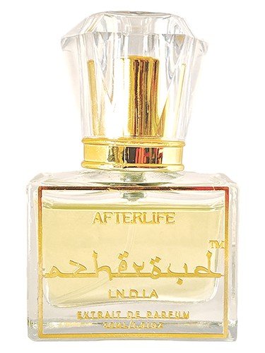 Afterlife