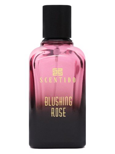 Blushing Rose