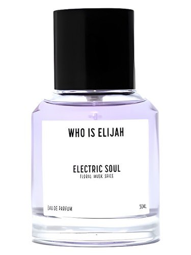 Electric Soul