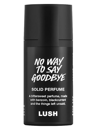 No Way To Say Goodbye