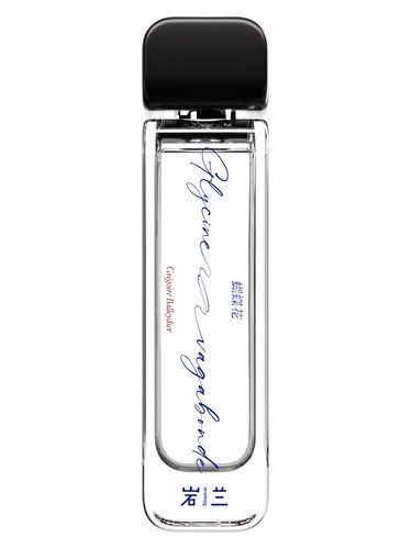 Glycine Vagabonde 蝴蝶花