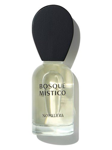 Bosque Místico