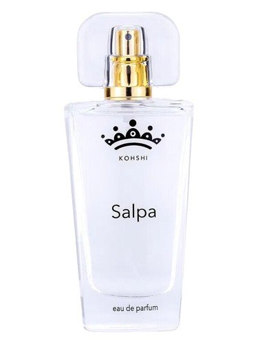 Salpa