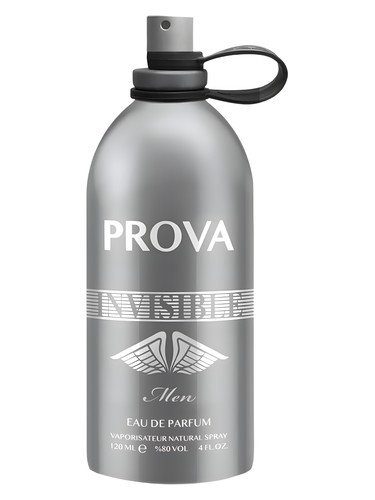 Invisible