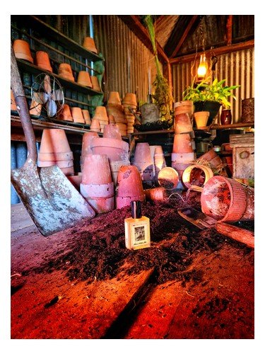 Wilcox’s Potting Shed