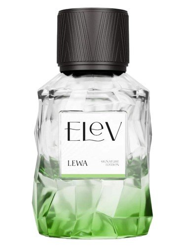 Lewa