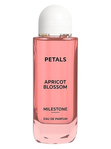 Petals Apricot Blossom