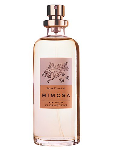 Mimosa