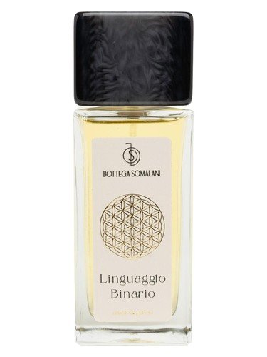 Linguaggio Binario