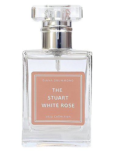 The Stuart White Rose