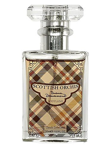 Scottish Orchis Classic