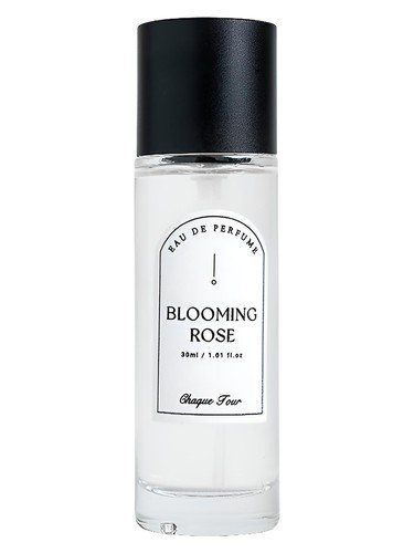 Blooming Rose