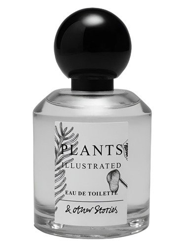 Plants Illustrated
