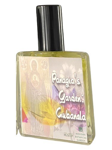 Panagia’s Garden: Cubanola