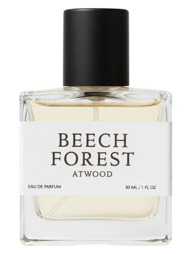 Beech Forest