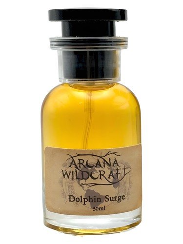 Dolphin Surge