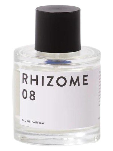 Rhizome 08