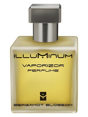 Bergamot Blossom