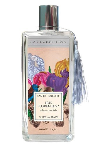 Iris Florentina