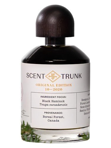 Black Hemlock