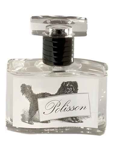 Polisson