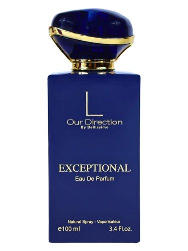 Our Direction Exceptional