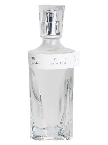 Ginkgo Water 银杏之水