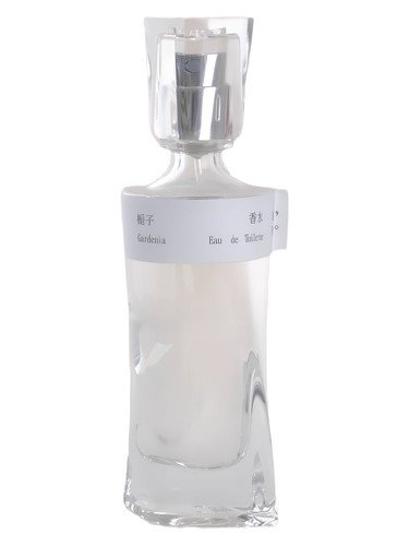 Gardenia 栀子花