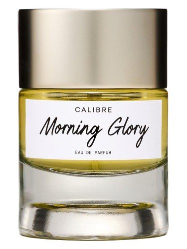 Morning Glory