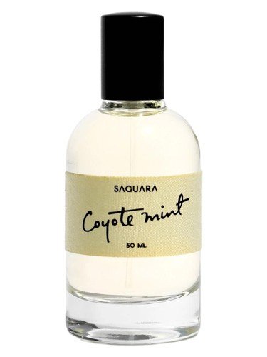 Coyote Mint