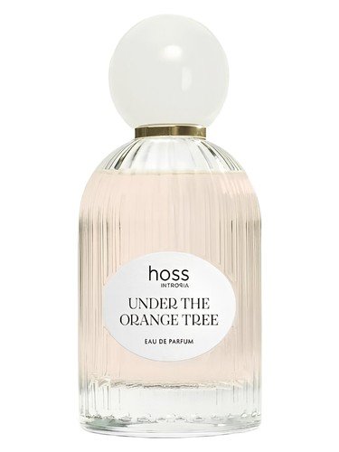Under The Orange Tree