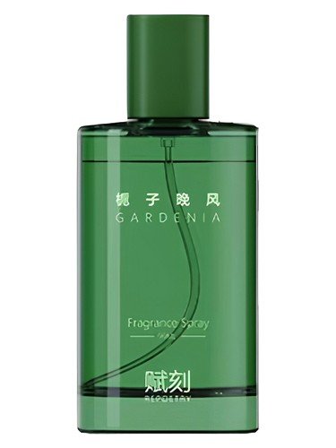 Gardenia 栀子晚风