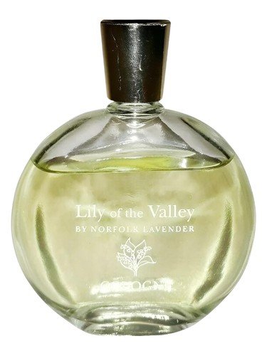 Lily of the Valley