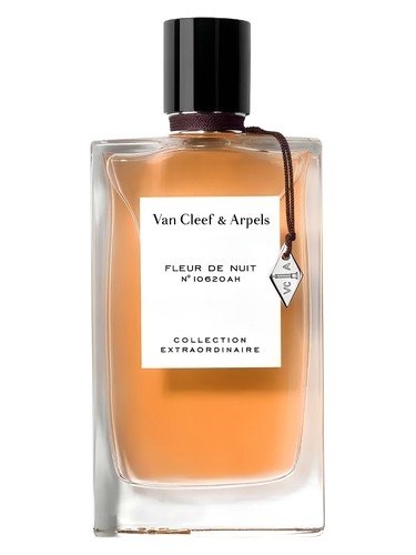 Fleur de Nuit