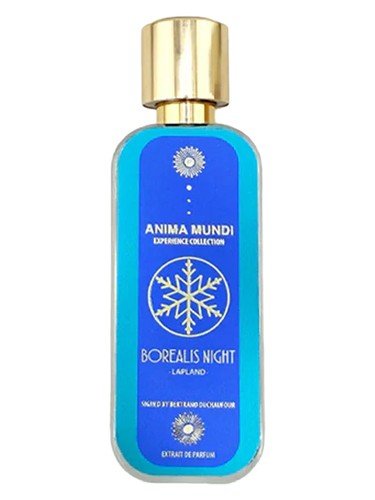 Borealis Night