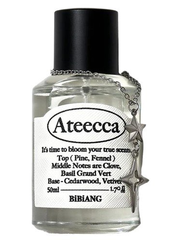 Ateecca