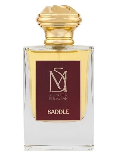 Saddle