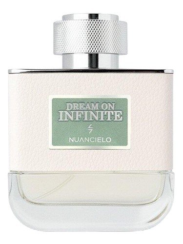 Dream On Infinite