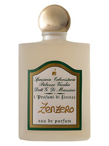Zenzero